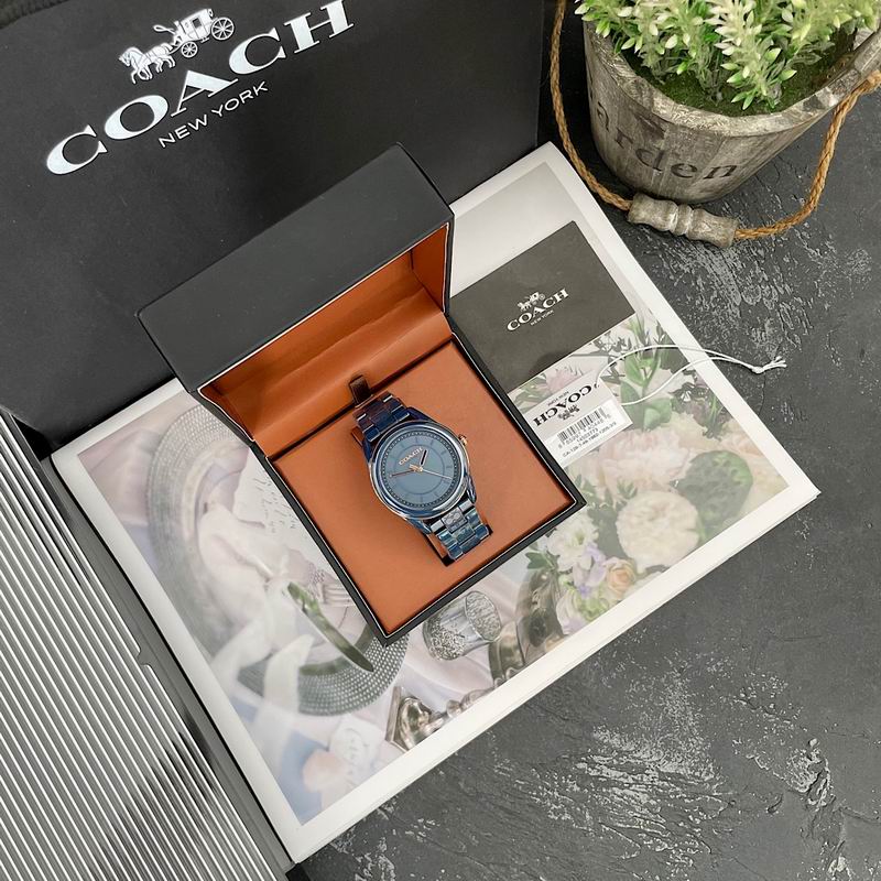 Coach 38mm 12 (27)