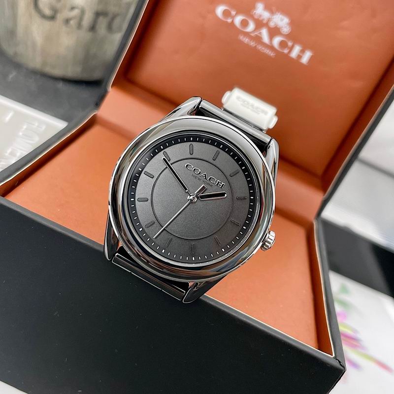 Coach 38mm 12 (30)