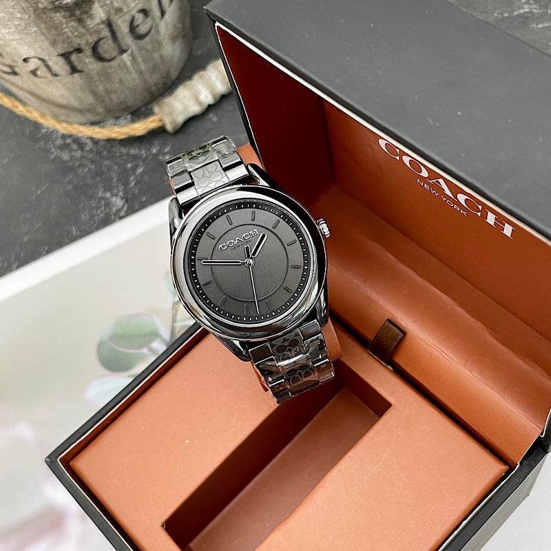 Coach 38mm 12 (32)
