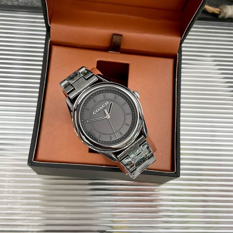 Coach 38mm 12 (33)