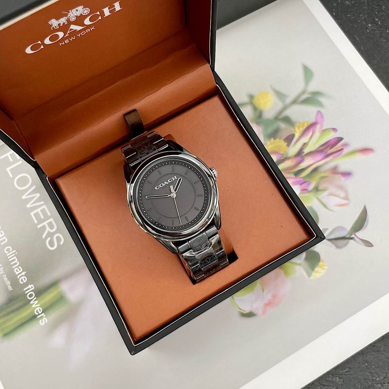Coach 38mm 12 (35)