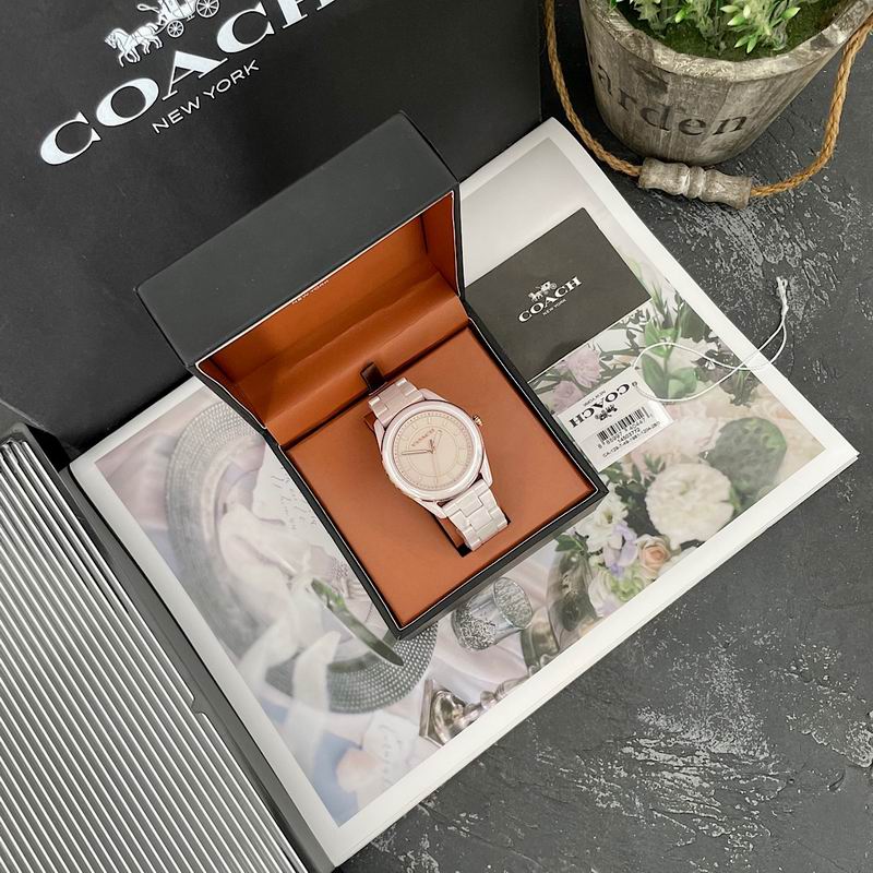 Coach 38mm 12 (9)