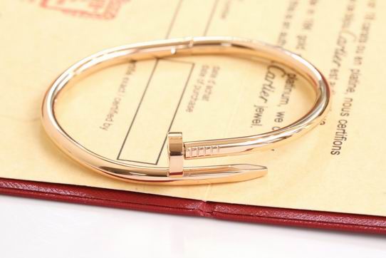 Cartier bracelet 11lyh198 (2)