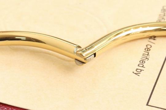 Cartier bracelet 11lyh198 (6)