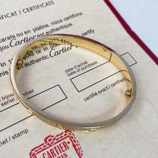 Cartier suits 11lyh24 (2)