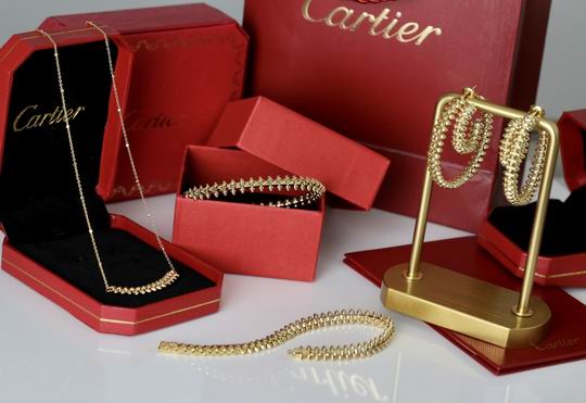 Cartier suits 11lyh32 (1)