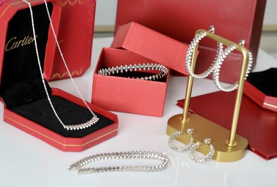 Cartier suits 11lyh32 (2)