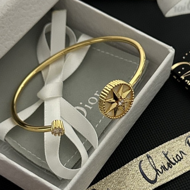 Dior Bracelet 11lyh02 (1)
