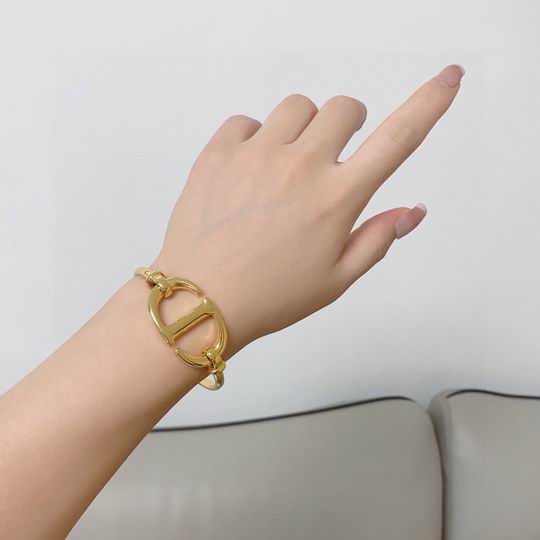 Dior Bracelet 11lyh09 (8)
