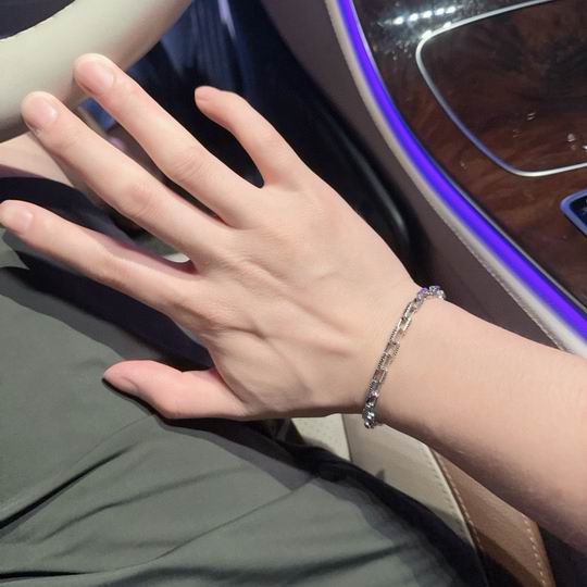 Dior Bracelet 11lyh107 (4)