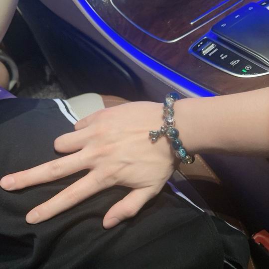 Dior Bracelet 11lyh117 (5)