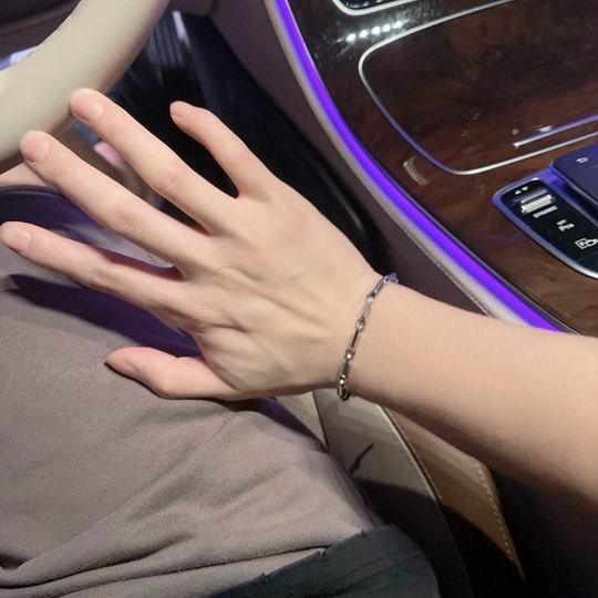 Dior Bracelet 11lyh119 (3)