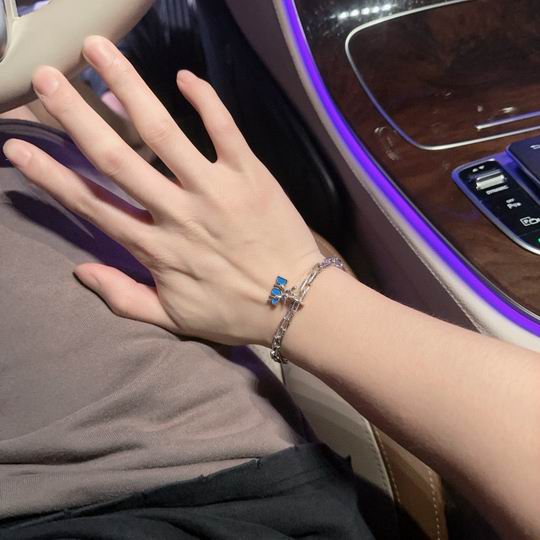 Dior Bracelet 11lyh122 (8)