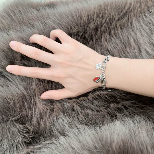 Dior Bracelet 11lyh124 (6)