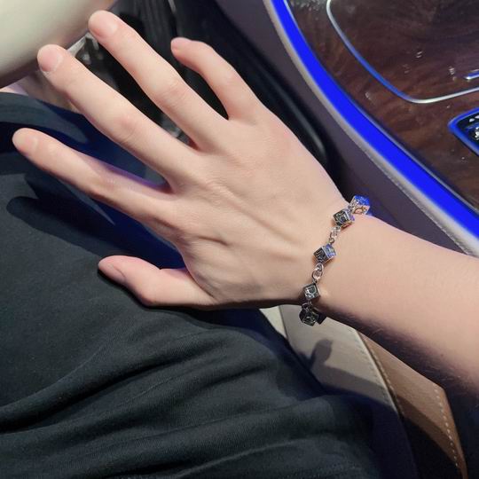 Dior Bracelet 11lyh144 (8)