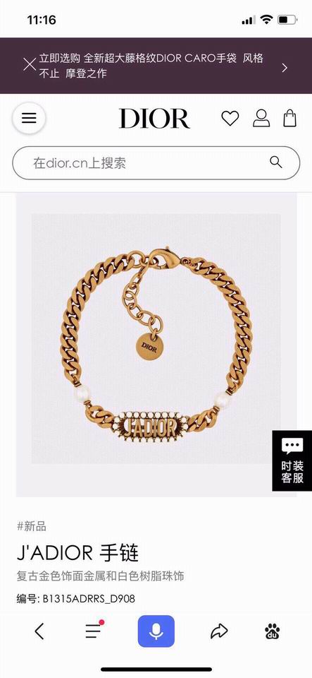 Dior Bracelet 11lyh157 (1)