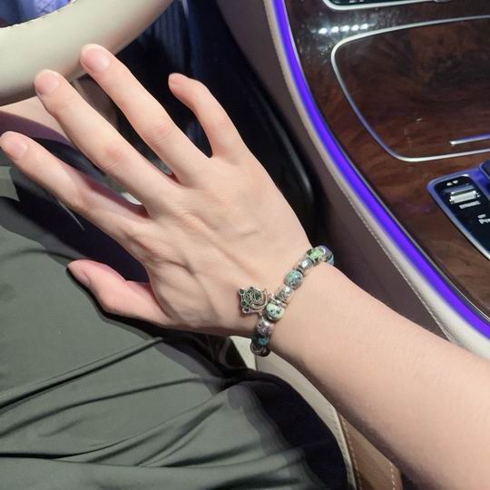 Dior Bracelet 11lyh16 (4)