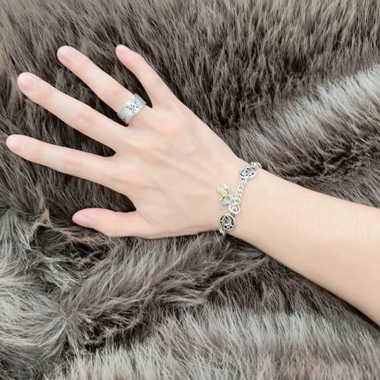 Dior Bracelet 11lyh18 (4)