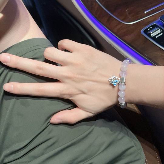 Dior Bracelet 11lyh209 (4)