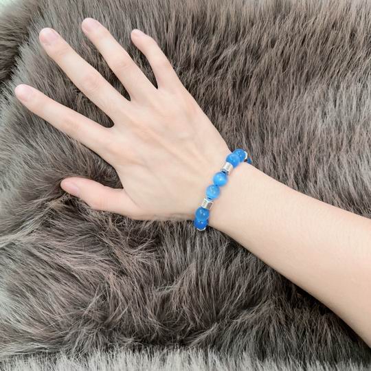 Dior Bracelet 11lyh22 (6)