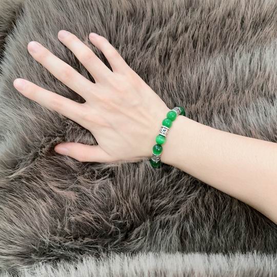 Dior Bracelet 11lyh23 (3)