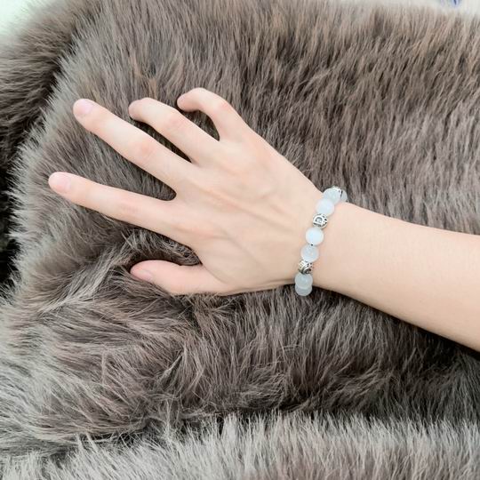 Dior Bracelet 11lyh24 (4)