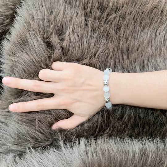 Dior Bracelet 11lyh24 (6)