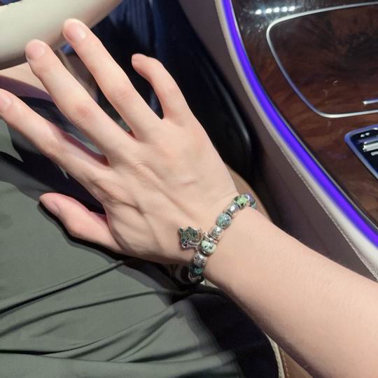 Dior Bracelet 11lyh25 (8)