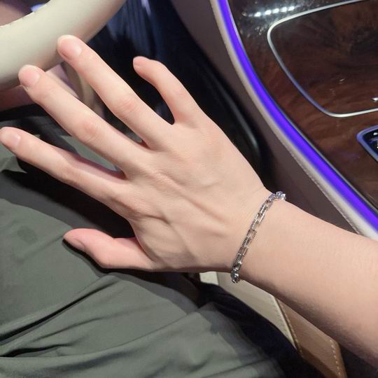 Dior Bracelet 11lyh47 (7)