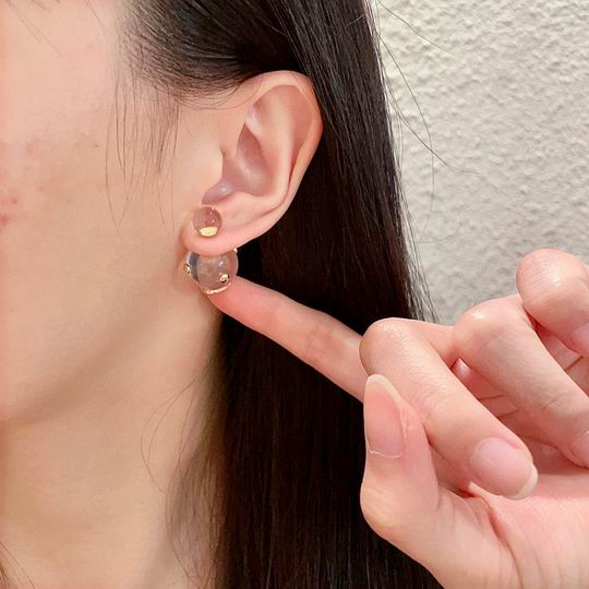 Dior Earring 11lyh02 (6)