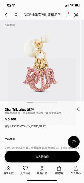 Dior Earring 11lyh22 (5)