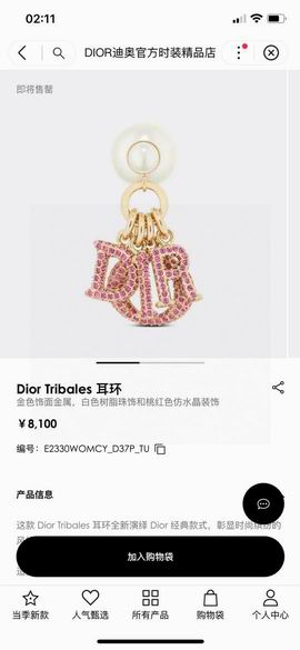 Dior Earring 11lyh22 (6)