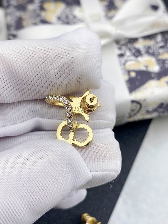 Dior Earring 11lyh28 (5)