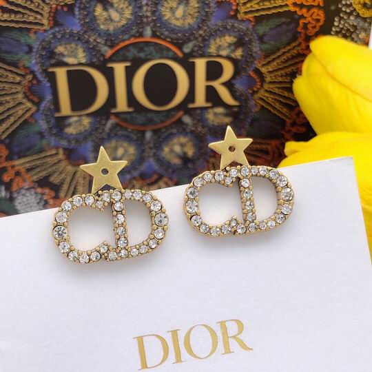 Dior Earring 11lyh49 (1)
