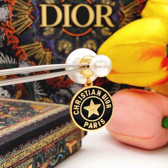Dior Earring 11lyh53 (4)