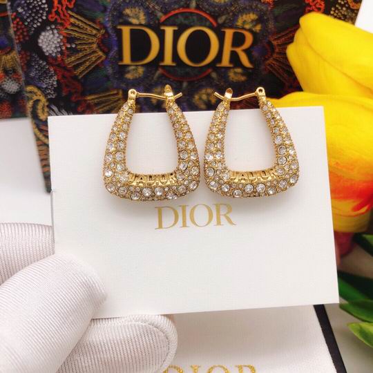 Dior Earring 11lyh68 (3)