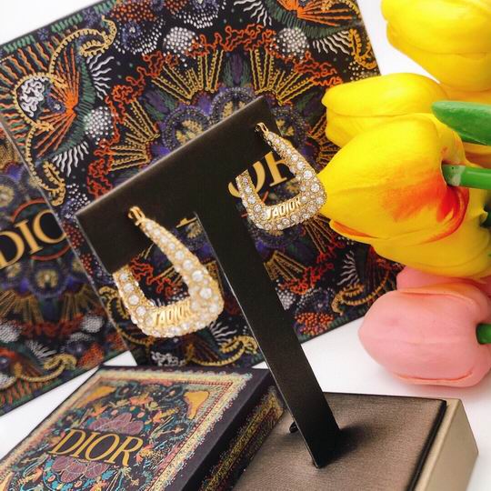 Dior Earring 11lyh68 (5)