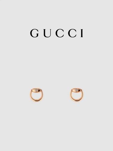 Gucci Earring 10lyh31 (9)