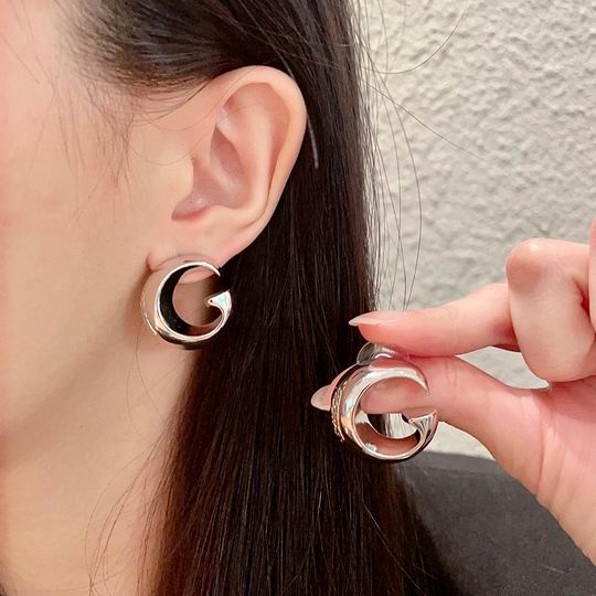 Gucci Earring 11ly61 (17)