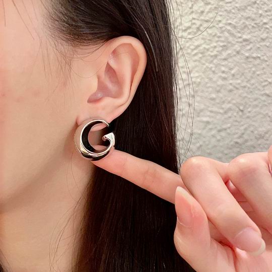 Gucci Earring 11ly61 (18)