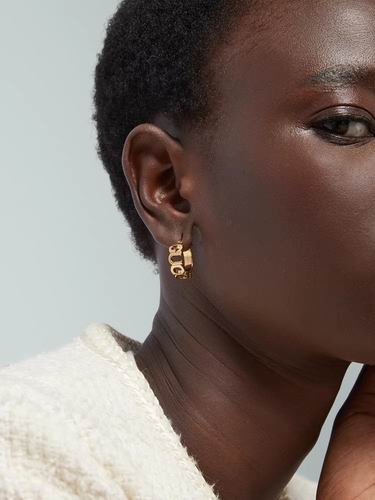 Gucci Earring 11lyh103 (2)