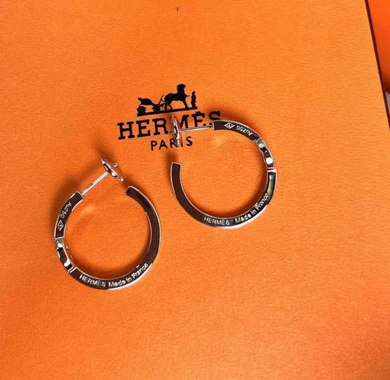 Hermes Earring 11lyh43 (2)