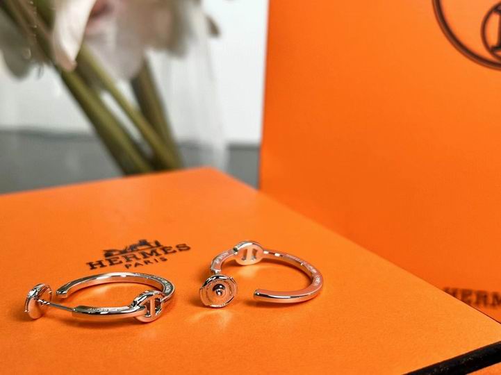 Hermes Earring 11lyh43 (3)