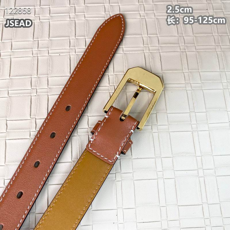 Hermes belt 25mmX95-125cm 8L (3)