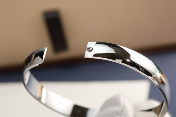 LV Bracelet 11lyh592 (4)