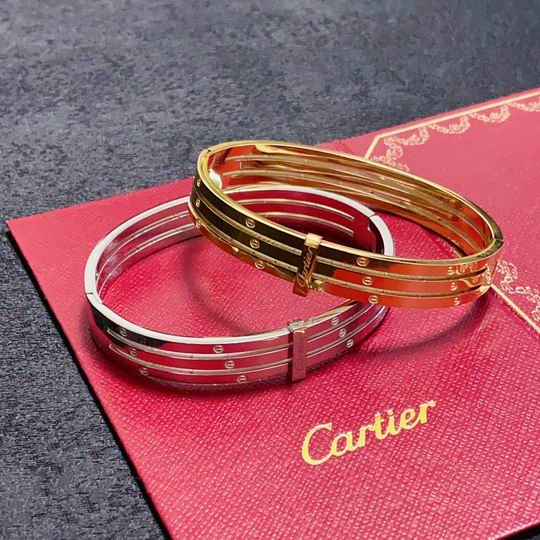 Cartier bracelet 12lyh217 (1)
