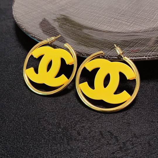Chanel earring 12lyh179 (6)