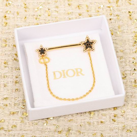 Dior Brooch 12lyh03 (1)