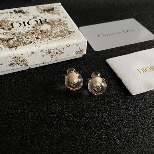 Dior Earring 12lyh11 (1)