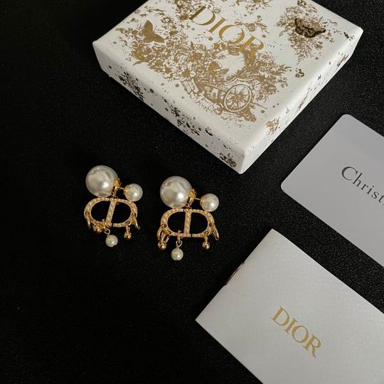 Dior Earring 12lyh12 (1)